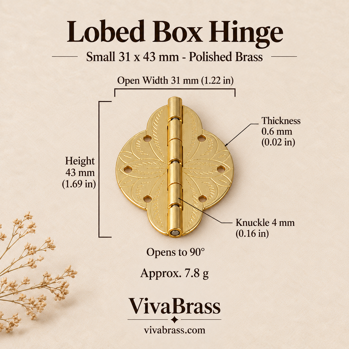 Lobed Hinge Small 31 x 43 mm - Polished Brass – solid brass box hinge by VivaBrass