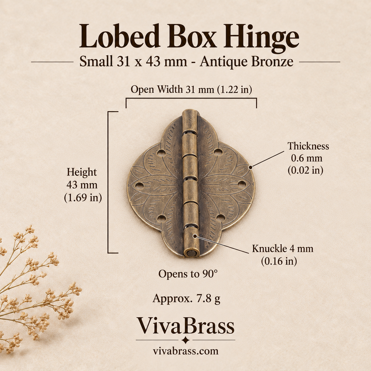 Lobed Hinge Small 31 x 43 mm - Antique Bronze – solid brass box hinge by VivaBrass