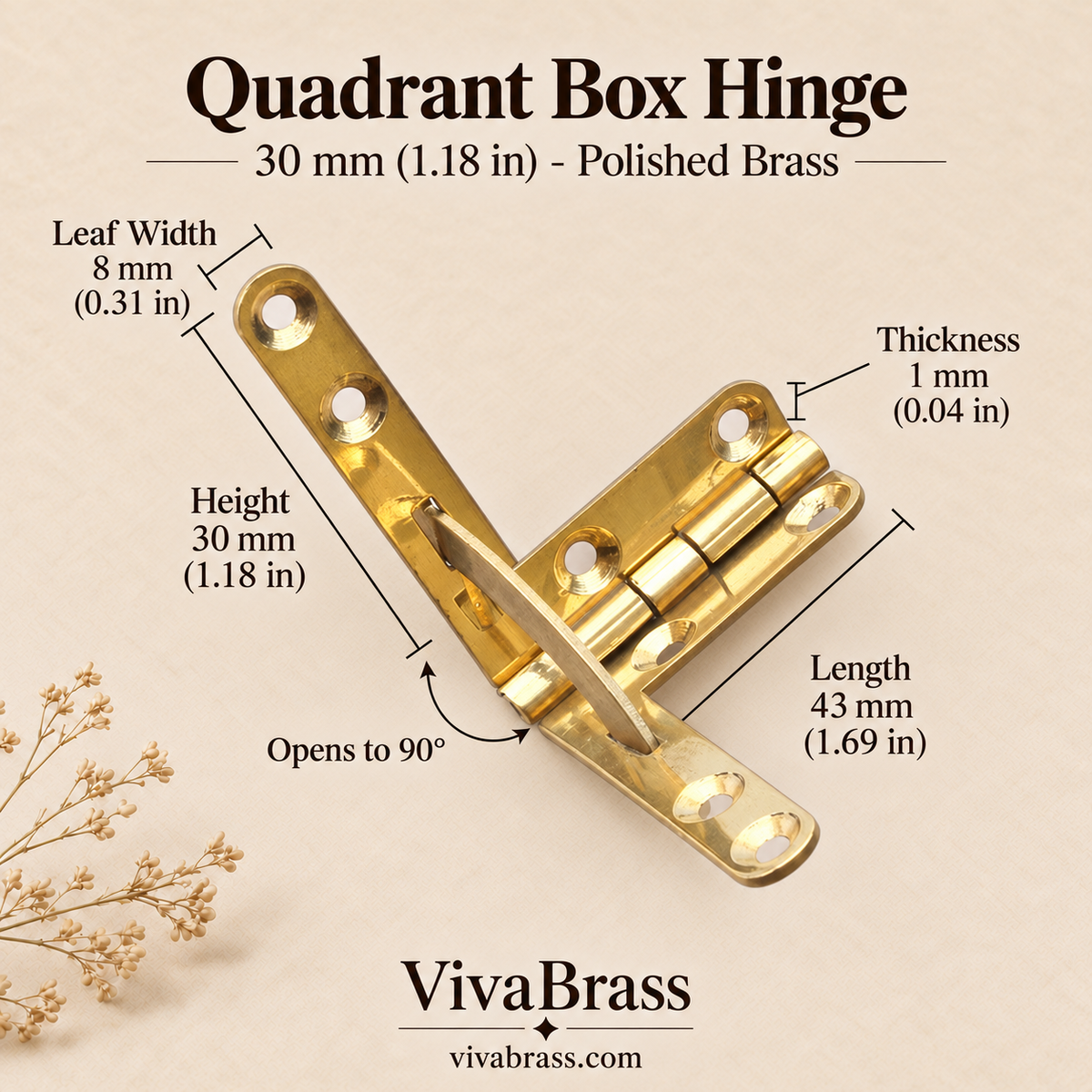 Quadrant Hinge 30 mm - Polished Brass – solid brass box hardware by VivaBrass