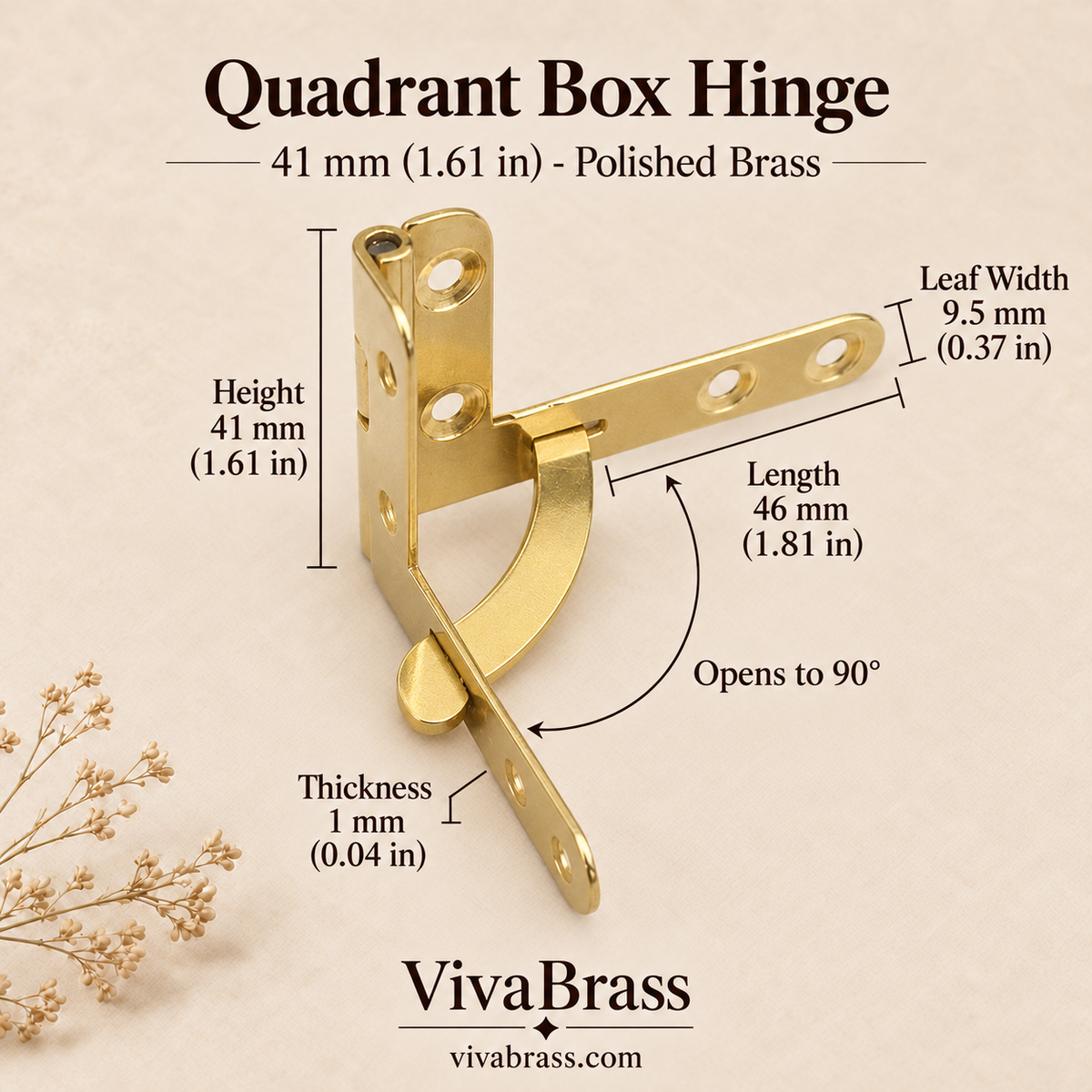 Quadrant Hinge 41 mm - Polished Brass – solid brass box hardware by VivaBrass