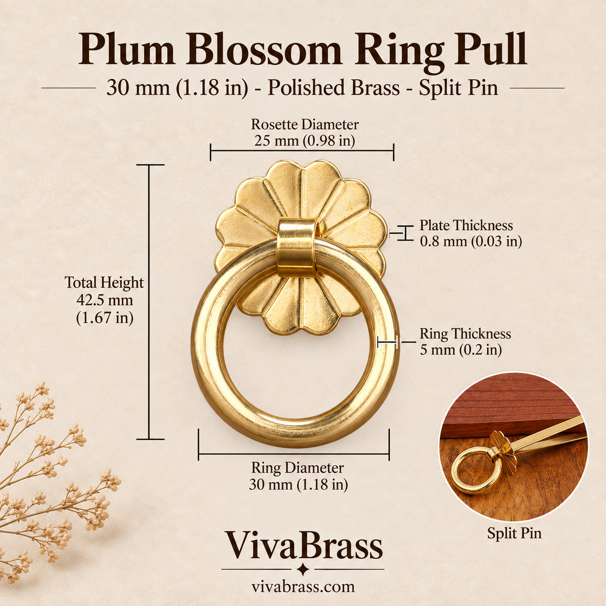 Plum Blossom 30 mm - Polished Brass - Split Pin – solid brass ring pull by VivaBrass