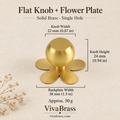 Flat Knob + Flower Plate – solid brass cabinet knob by VivaBrass