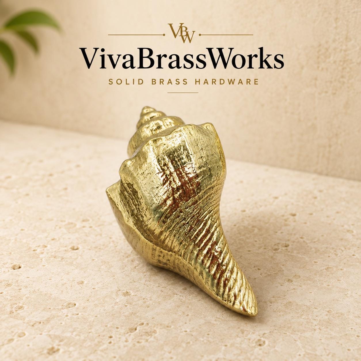 Solid Brass Conch Shell Cabinet Knob, Coastal Drawer Pull, Nautical Furniture Hardware